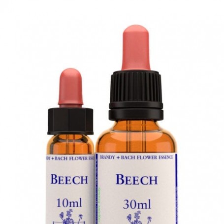 Beech (Haya) 10 ml| Flores de Bach Healing Herbs