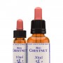 Red Chestnut (Castaño Rojo) 10 ml| Flores de Bach Healing Herbs