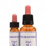 Scleranthus (Escleranto) 10ml | Flores de Bach Healing Herbs