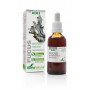 Extracto Fucus S. XXI | Soria Natural