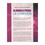 GLÁNDULA PINEAL - La Conexión | Fresia Castro Moreno